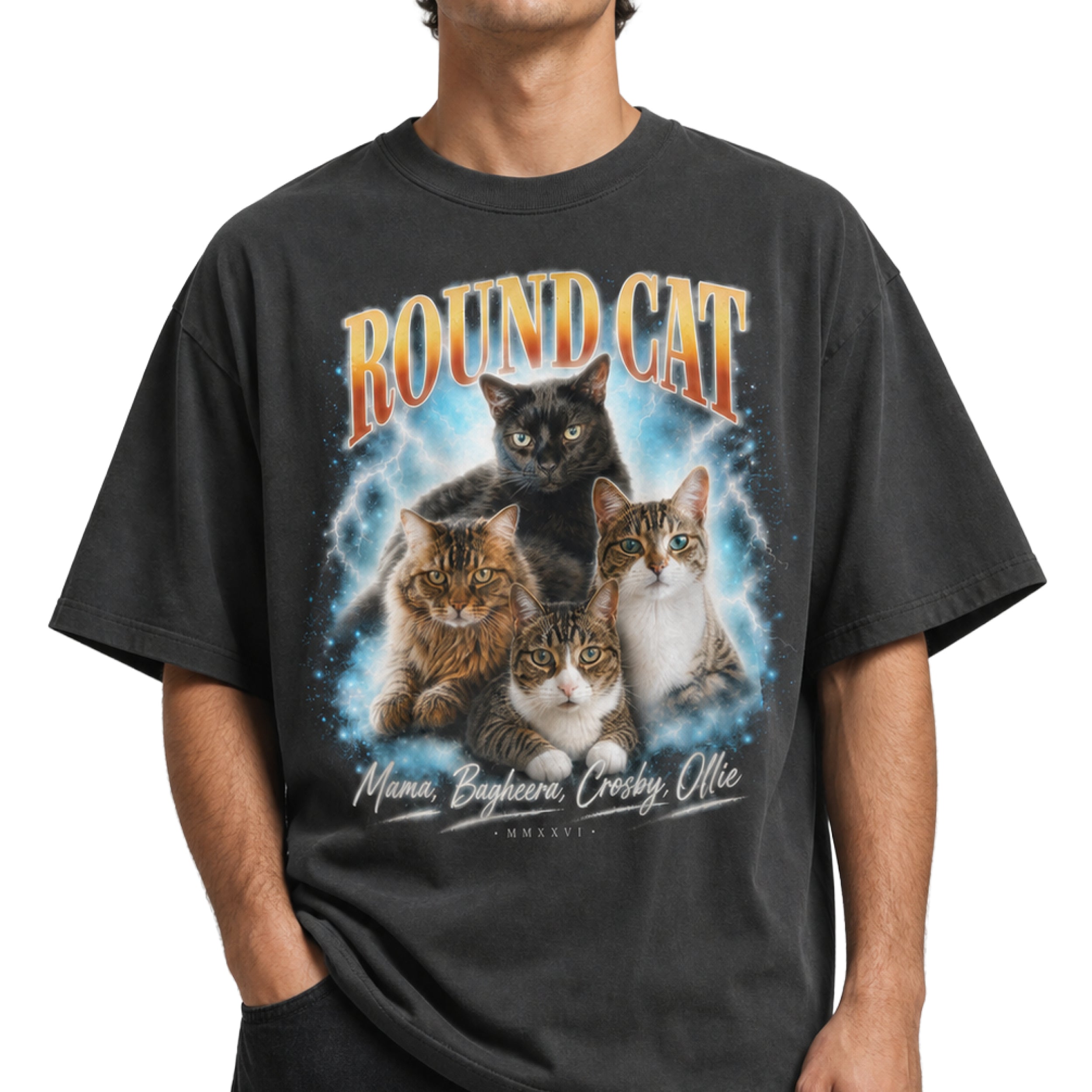 Round Cat Tribute - Oversized faded t-shirt